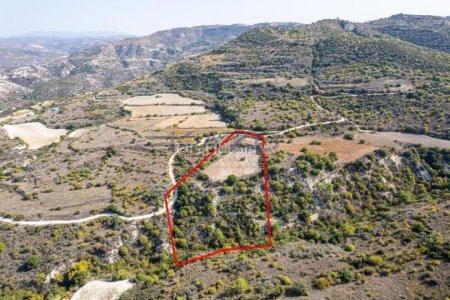 Field in Dora, Limassol - 5