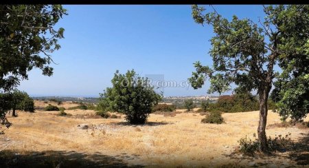 Large Residential Field in Kourio, Erimi - 11