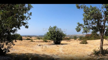 Large Residential Field in Kourio, Erimi - 10