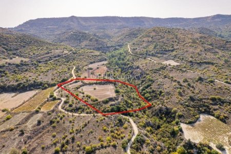 Field in Dora, Limassol - 3