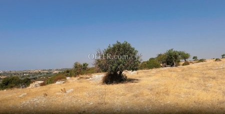 Large Residential Field in Kourio, Erimi - 9