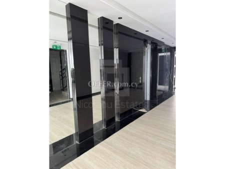 New two bedroom apartment in Engomi area overlooking the U.S. Embassy - 9
