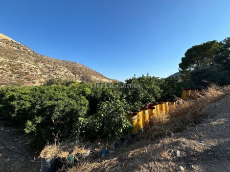 Residential Field for sale in Germasogeia, Limassol - 3