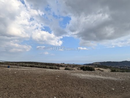 Land Parcel 7834 sm in Pissouri, Limassol - 6