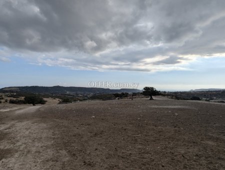 Land Parcel 7834 sm in Pissouri, Limassol - 5