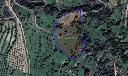 Agricultural Field for sale in Lysos, Paphos - 3