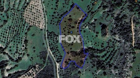 Agricultural Field for sale in Lysos, Paphos - 2