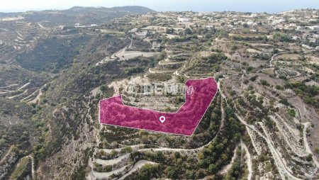 Agricultural Land For Sale in Koili, Paphos - DP4371 - 4