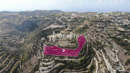Agricultural Land For Sale in Koili, Paphos - DP4371 - 3