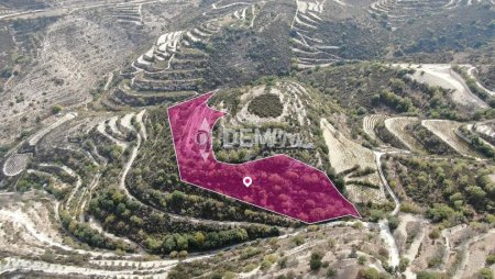Agricultural Land For Sale in Koili, Paphos - DP4371 - 2