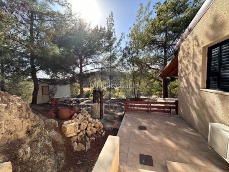 Three bedroom villa plus one bedroom smaller house for sale in Alassa village of Platres - 6