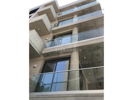 Ultra Luxury three bedroom apartment for Rent in Acropoli at a Prime location - 10