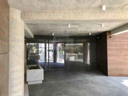 Ultra Luxury three bedroom apartment for Rent in Acropoli at a Prime location - 9