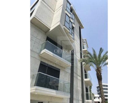 Ultra Luxury three bedroom apartment for Rent in Acropoli at a Prime location - 8