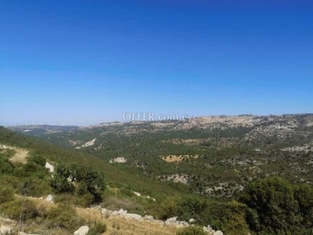 Field for sale in Dora, Limassol - 2
