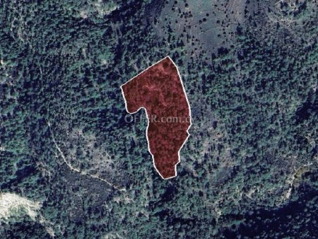 Field for sale in Dora, Limassol - 2