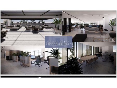 Offices for Rent or Sale in the heart of the Business Center of Nicosia - 9