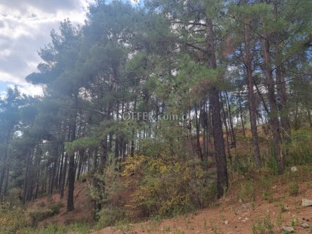 Field for sale in Pano Platres, Limassol - 4