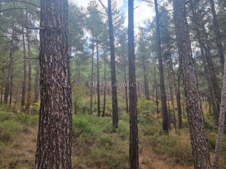 Field for sale in Pano Platres, Limassol - 3