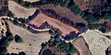Field for sale in Polemi, Paphos - 2