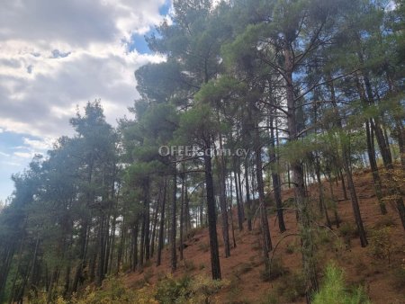 Field for sale in Pano Platres, Limassol - 2