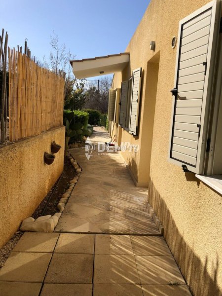 Bungalow For Rent in Chloraka, Paphos - DP4400 - 2