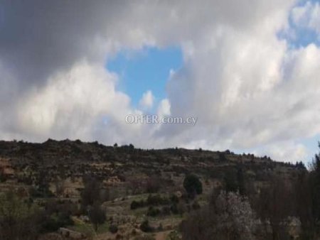 Agricultural Field for sale in Pachna, Limassol - 2