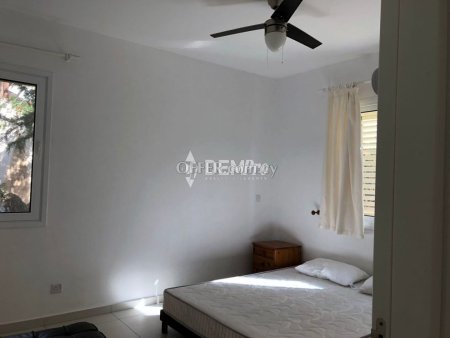 Bungalow For Rent in Chloraka, Paphos - DP4400 - 6