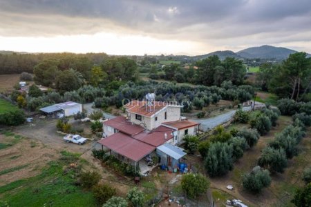 Two-storey house in a large field in Pyrga, Larnaca - 2