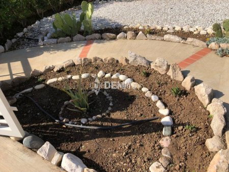 Bungalow For Rent in Chloraka, Paphos - DP4400 - 4