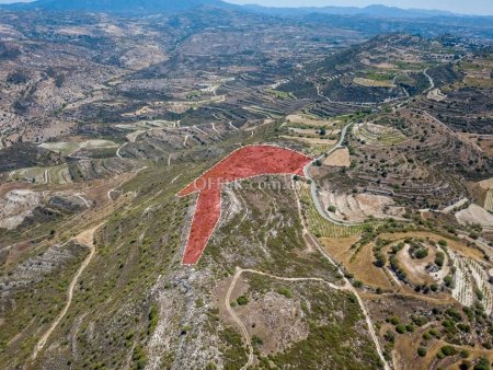 Agricultural Field for sale in Pachna, Limassol - 2