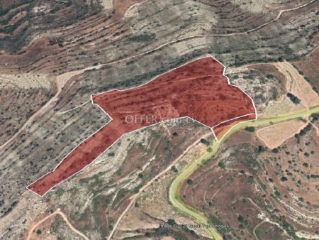 Agricultural Field for sale in Pachna, Limassol