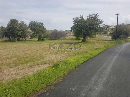 Large Development Land for Sale in Choirokitia - 6
