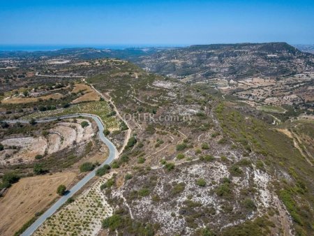 Agricultural Field for sale in Pachna, Limassol - 10