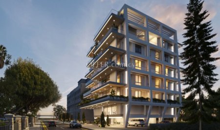 Apartment (Penthouse) in Agia Triada, Limassol for Sale - 11