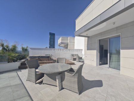 Super luxury three bedroom penthouse on the 11th floor with unobstructed sea view in Mouttagiaka tourist area - 9