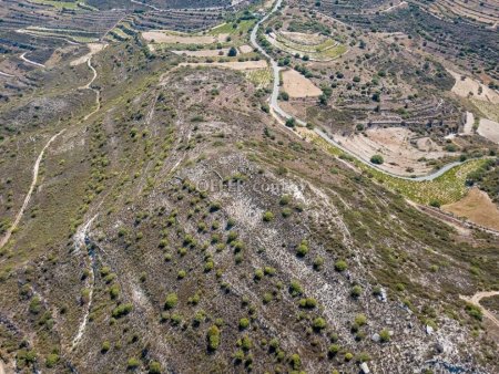 Agricultural Field for sale in Pachna, Limassol - 8