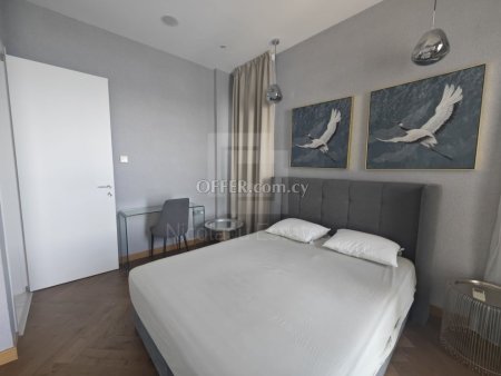 Super luxury three bedroom penthouse on the 11th floor with unobstructed sea view in Mouttagiaka tourist area - 7