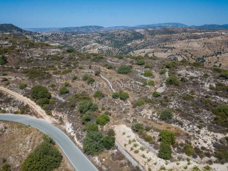 Agricultural Field for sale in Pachna, Limassol - 6