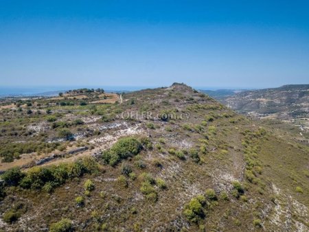 Agricultural Field for sale in Pachna, Limassol - 5