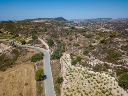 Agricultural Field for sale in Pachna, Limassol - 4