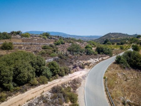 Agricultural Field for sale in Pachna, Limassol - 3