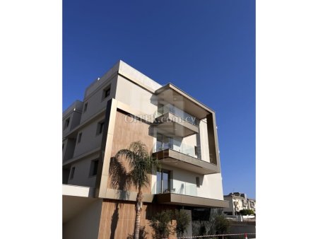 Luxury one bedroom apartment for Rent in Aglantzia