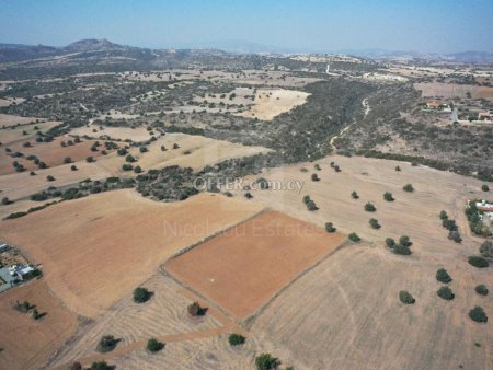 Field in Alaminos area of Larnaca near the sea - 2