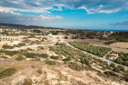 Field for Sale in Mazotos, Larnaca - 3
