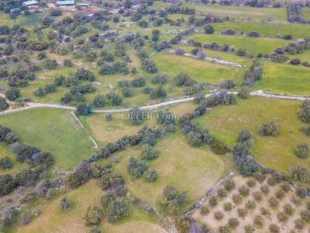 Residential Field for sale in Anogyra, Limassol - 4