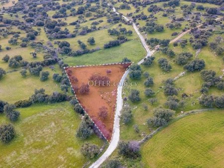Residential Field for sale in Anogyra, Limassol - 3
