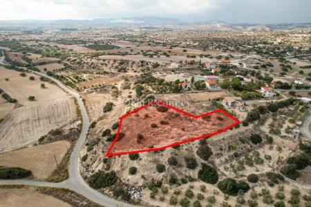 Field for Sale in Mazotos, Larnaca - 10