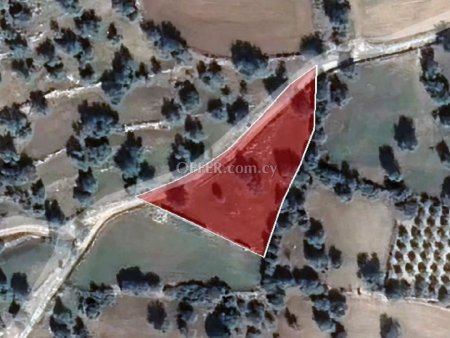 Residential Field for sale in Anogyra, Limassol - 2