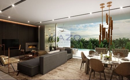 Spacious Duplex Penthouse Apartment   in Germasoyeia - 5